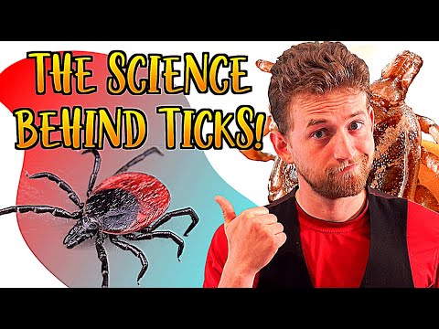 The Science behind Ticks! - Lyme disease, and life cycles