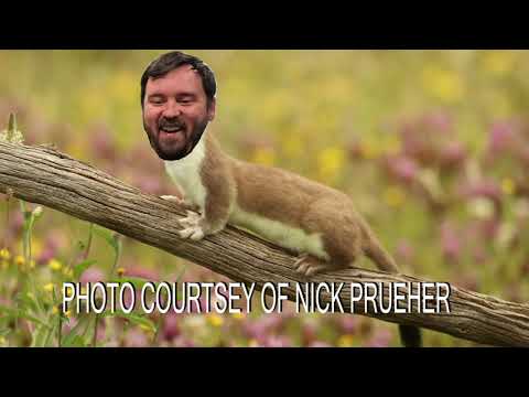 Frenchy & The Creep, Ep 12 – Behind the Party – VCR SMARTY