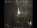 Boney James - Without A Doubt