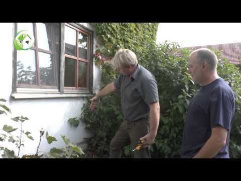 Baubiologie Rudi Maier