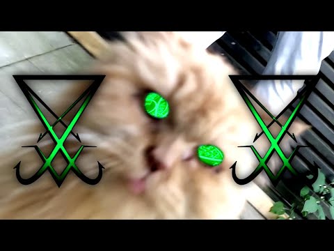 THILO91 - 🤷‍♂️ OMG FREESTYLE 🤷‍♂️ (prod. 444jet)