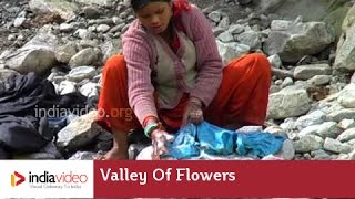 Washing in Pushpavathi river, Valley of  Flowers, Uttarakhand