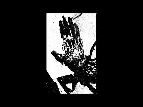 Humnerë / Dräkavtré "Split"