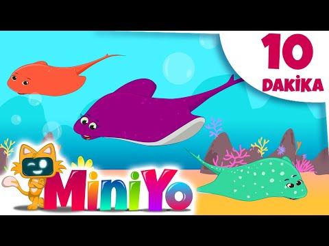 Vatoz Balıkları Şarkısı + Daha Fazla Çocuk Şarkısı | Miniyo