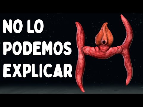 Las Criaturas Extintas Más Extrañas Jamás Encontradas