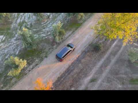 Seguimiento por el olivar