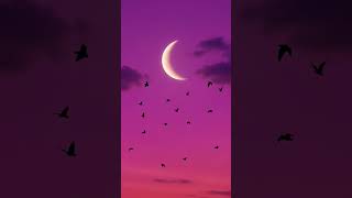 Download lagu Moon 🌙 mp3