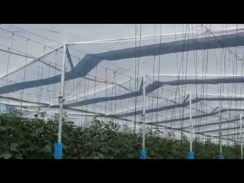 Welcome to the Cravo Demonstration and Education Greenhouse