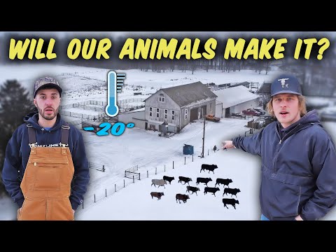 OUR RANCH IS IN DANGER! (Prepping Our Ranch For A Bad Storm)
