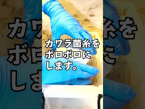 IUCN分類における絶滅の危険性を示す図。