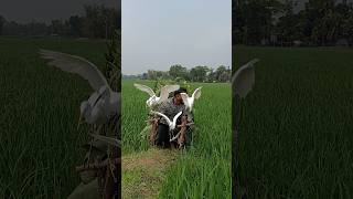 Download lagu неож Heron Catch – Unexpected Twist mp3