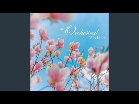 Telemann: Trumpet Concerto In D, TWV 51:D7: 4. Allegro