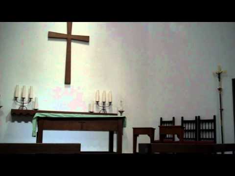 Dallier - Electa ut Sol, Fritz Anders - Organist