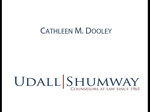gallery video image