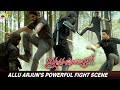 Allu Arjun S Powerful Fight Scene Iddarammayilatho Amala Paul Telugu Movie Action Scenes