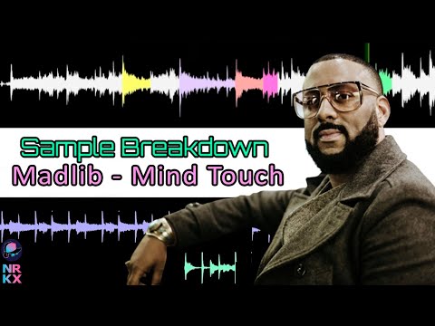Sample Breakdown: Madlib - Mind Touch