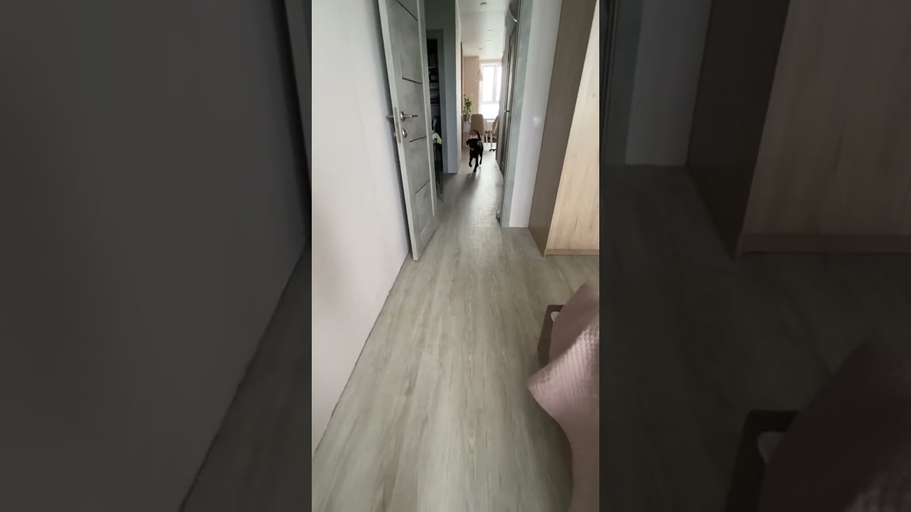 YouTube video preview