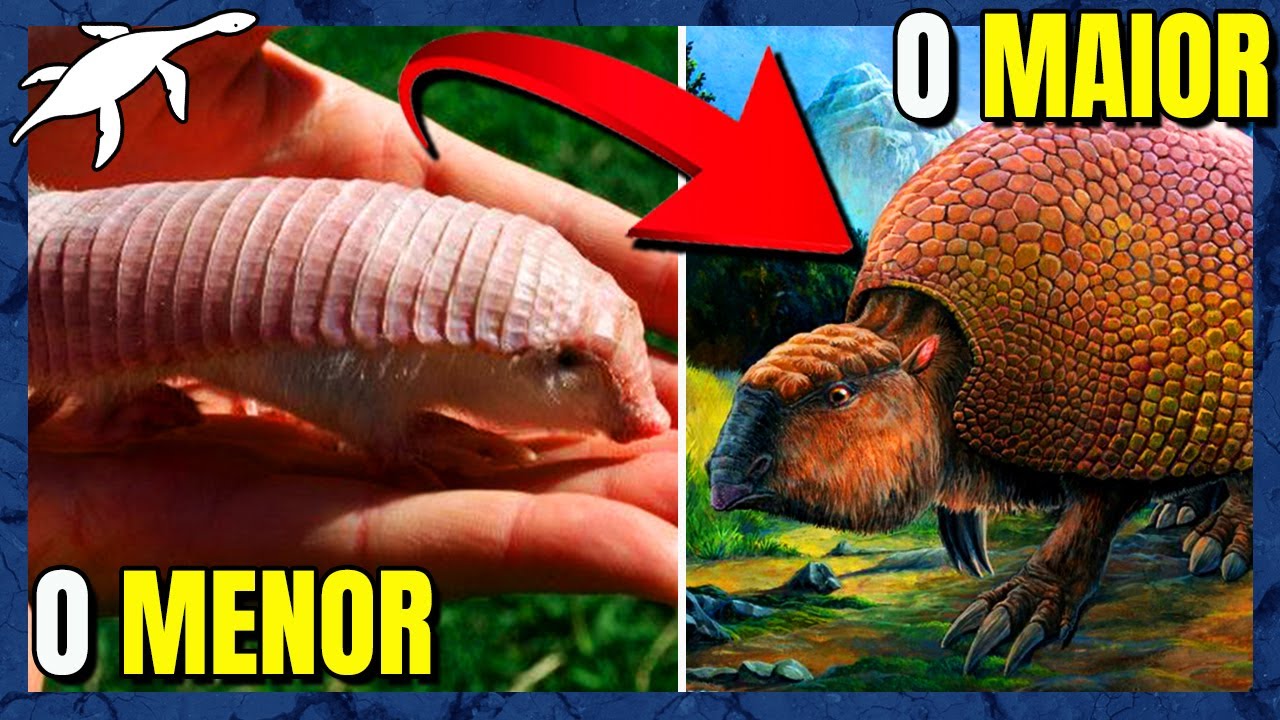 A EVOLUÇÃO INSANA dos TATUS!