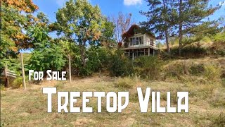 Treetop Villa - Beautiful Bulgarian House FOR SALE. Only €10,000