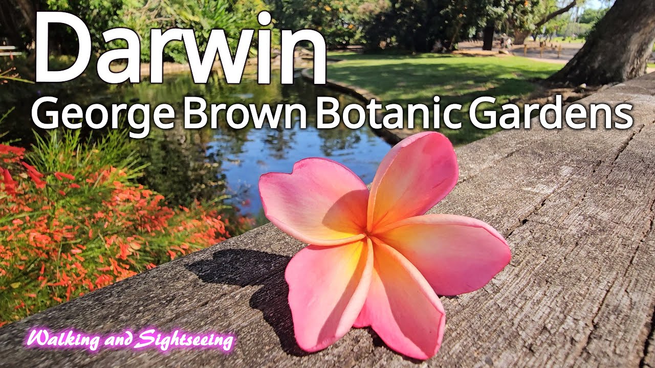 Explore the lush greenery and tropical beauty of Darwin’s Botanic Gardens.