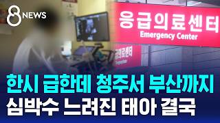 "41곳 연락" 청주서 부산까지..태아 끝내 사망 / SBS 8뉴스