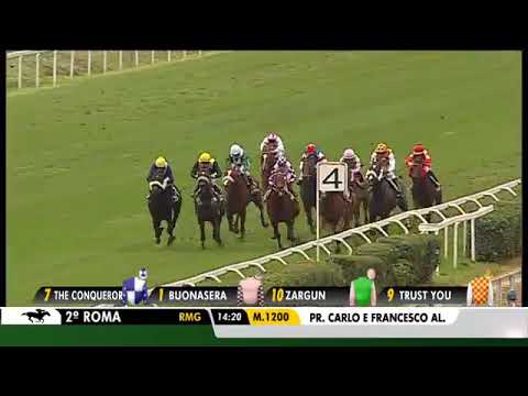 2019.11.03 Premio Carlo & Francesco Aloisi (ITA) - Nikisophia