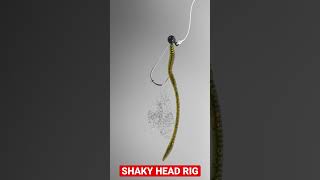 Shaky head rig. Use a @BigBiteBaits worm or craw for bass