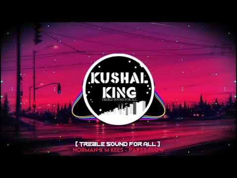 Norman x M Kees - Party Flow