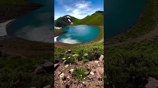 Enjoy listening to the sound of the river#relaxing#enjoy#river#riversounds#flowers#horse