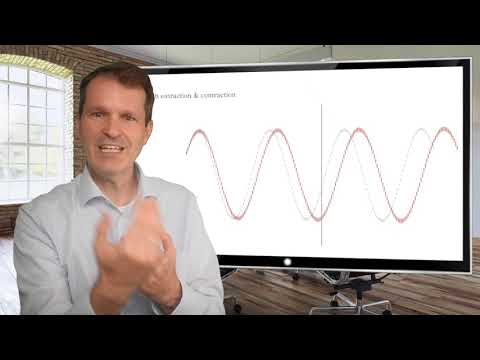 Market Cycles Report Sept. 6: Dynamic Nature of Cycles