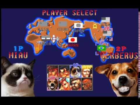 Street fighter edicion gatos