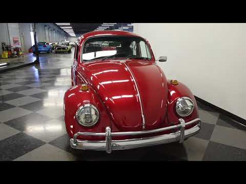 1968 Volkswagen Beetle (CC-1072632) for sale in Lutz, Florida