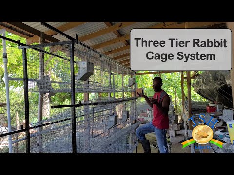 Jamaica Rabbit Farming: Installing a Three Tier Rabbit Cage System