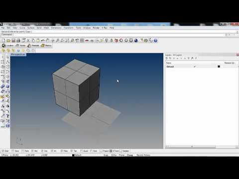 Tutorial Rhinoceros base:scalare  in una, due e tre dimensioni