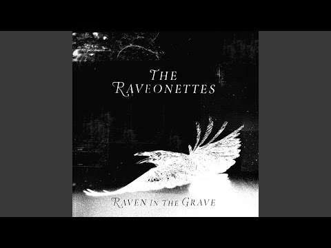 Evil Seeds - The Raveonettes