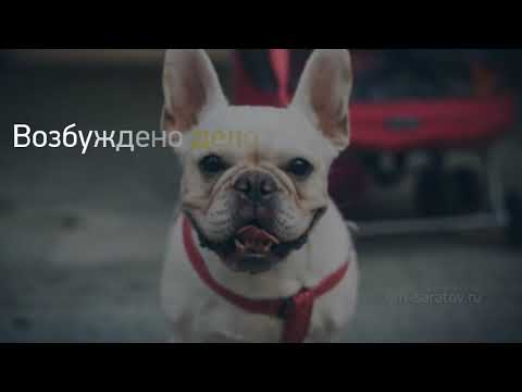 Новость дня: 'Источник: министр транспорта Алексей Зайце...' и другие главные новости за 2020-09-24