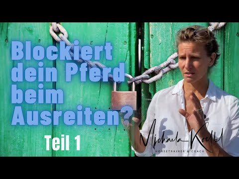 Blockiert dein Pferd beim Ausreiten? Teil 1