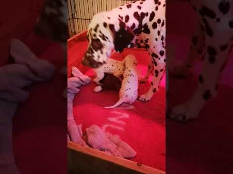 E-kullet er 3 uker ❤️