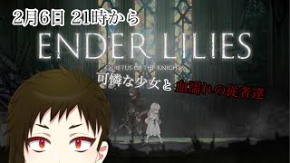 【Vtuber】可憐な少女と血濡れの従者たち #2【2Dアクション】