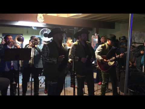 Banda La Suprema de Manuelon feat Los De La Angelina: El perico y el muchacho alegre