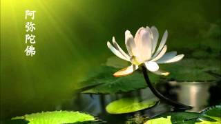 ♫ Amituofo! 阿弥陀佛!（四字五音）♫