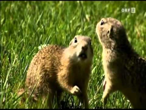 Weinviertel - Das weite Land