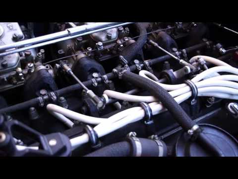 Thumbnail for 1972 Ferrari 365 GTC/4 by Ferrari 365 GTC/4