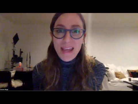 October 22nd 2020 Meeting of City Island Rising