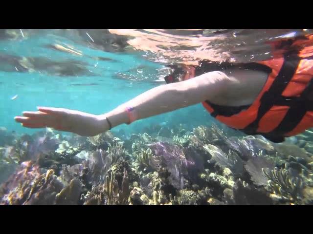 Swim & Snorkeling Adventure Tour Cancun, Mexico