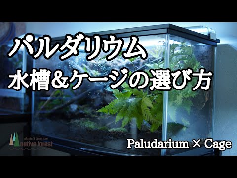 IUCN分類における絶滅の危険性を示す図。