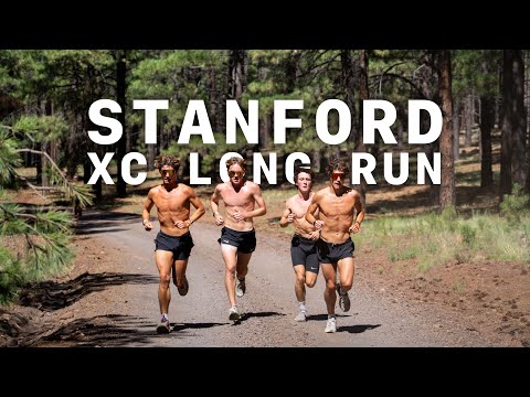 The 17 Mile Grind // hilly Long Runs at 7,000ft