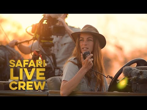 A Celebration of Jamie Paterson's time at safariLIVE