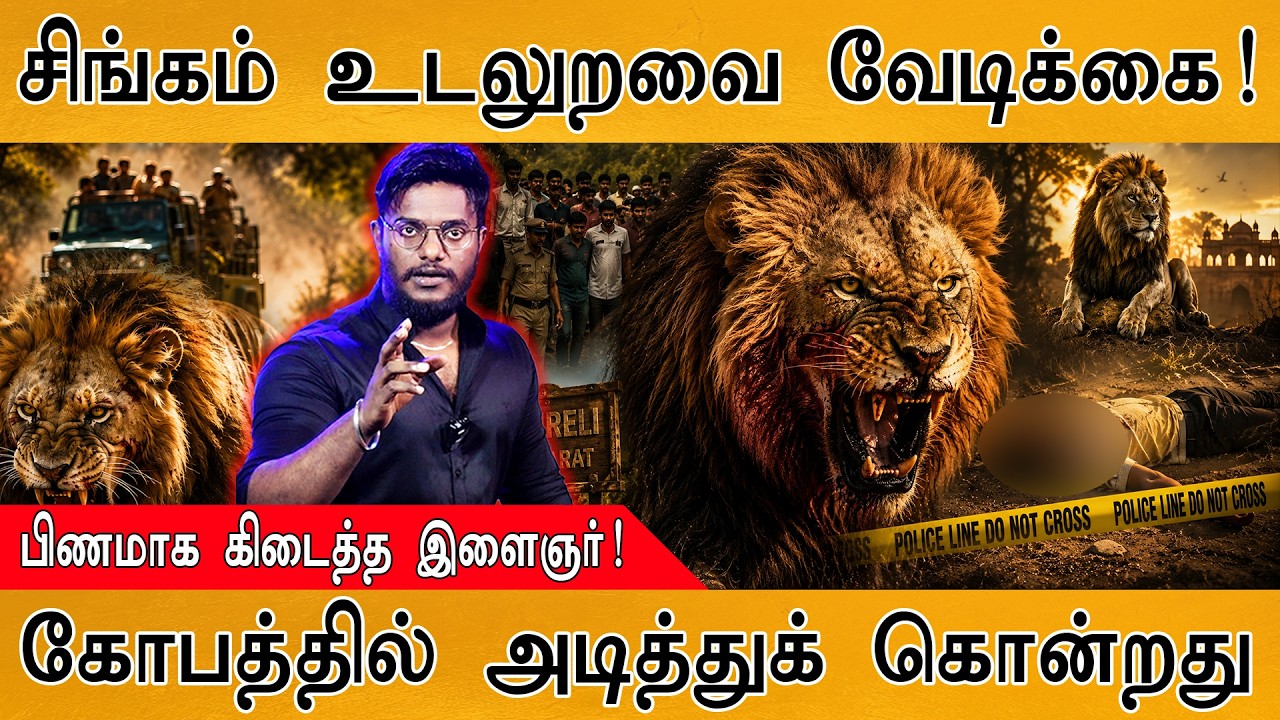 சிங்கம் உடலுறவை வேடிக்கை | பிணமாக கிடைத்த இளைஞர்! | கோ