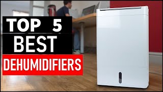 Top 5 Best Dehumidifiers in 2026
